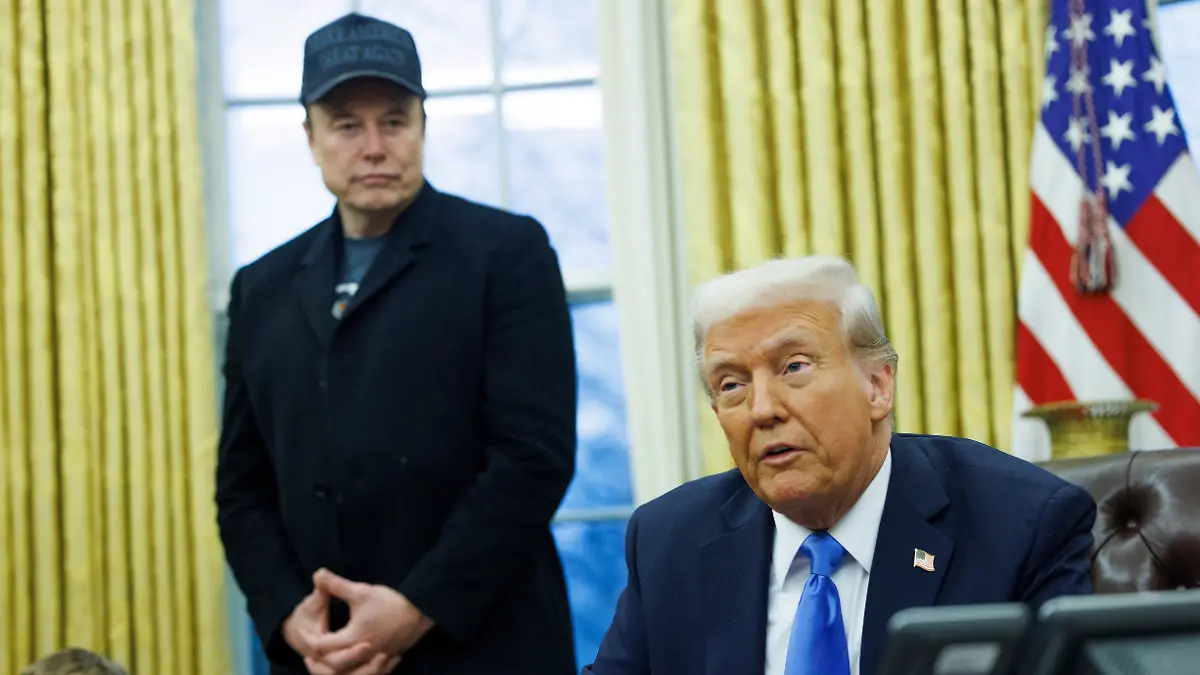 trump and musk